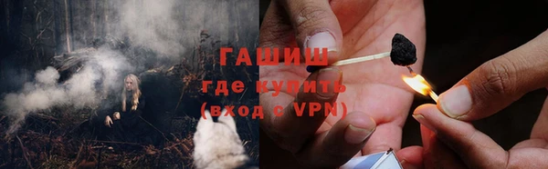 СК Туринск