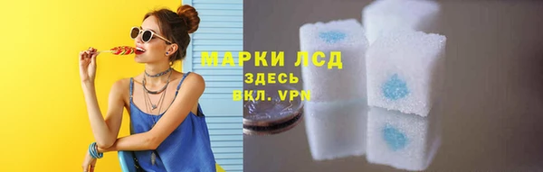 ГАЛЛЮЦИНОГЕННЫЕ ГРИБЫ Тутаев