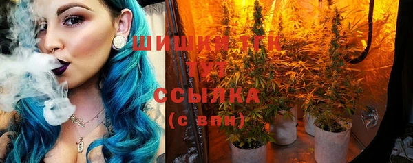 ГАЛЛЮЦИНОГЕННЫЕ ГРИБЫ Тутаев