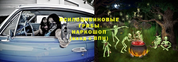 ГАЛЛЮЦИНОГЕННЫЕ ГРИБЫ Тутаев