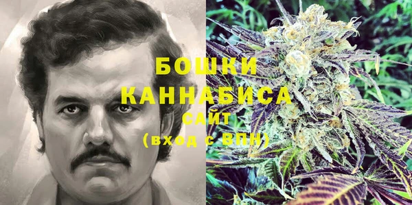 ГАЛЛЮЦИНОГЕННЫЕ ГРИБЫ Тутаев